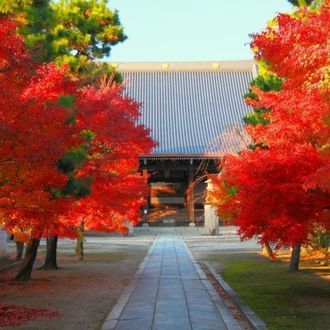 【終了】紅葉ライトアップヨガ